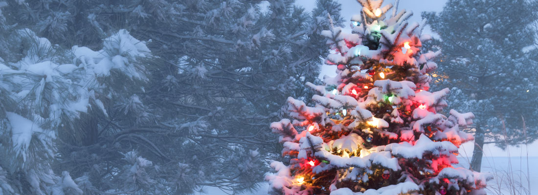 bestellfristen-weihnachten-header