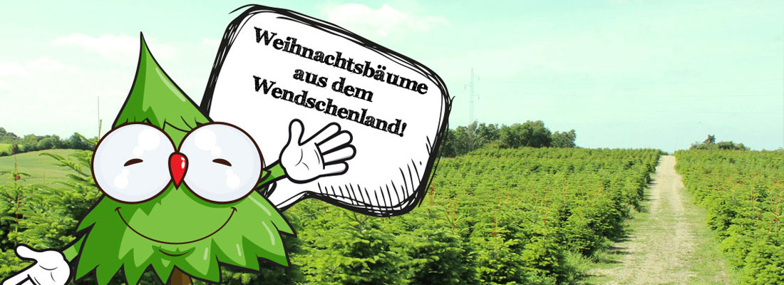 weihnachtsbaum-guru