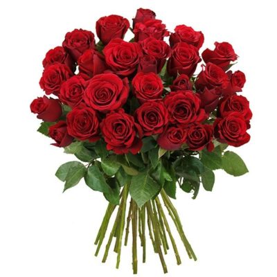 rote rosen med rote rosen med