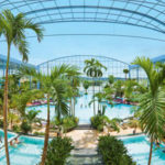 Palmenparadies_02