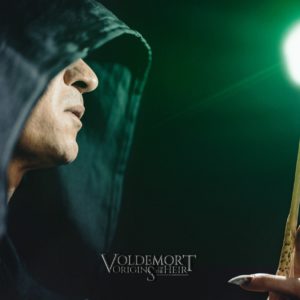 Voldemort Origins