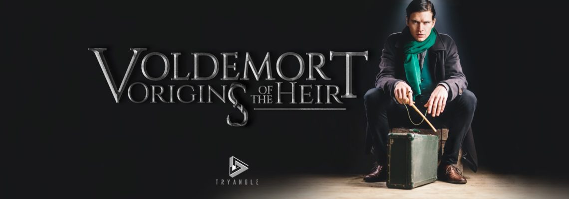 Voldemort Origins of the Heir