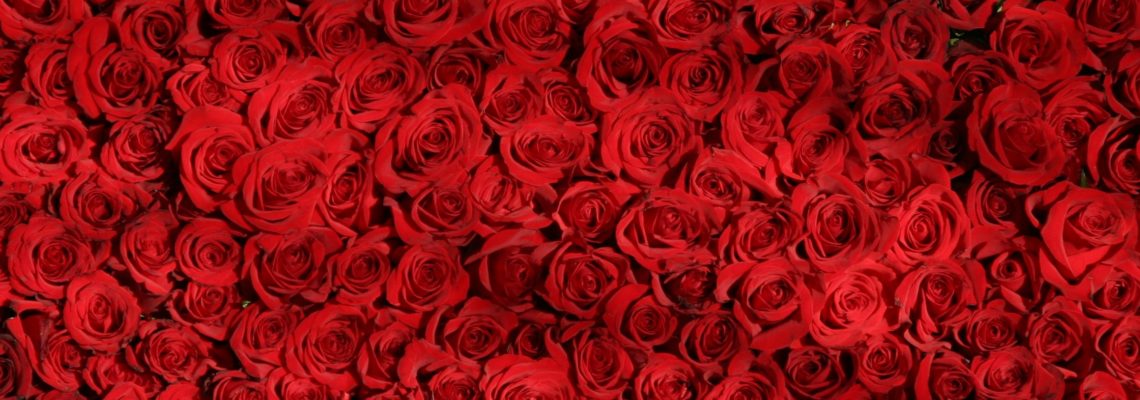 Rote Rosen