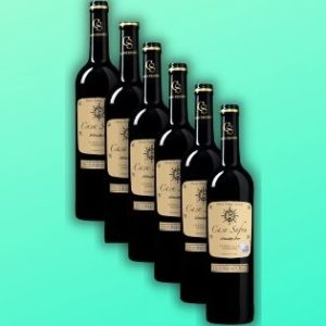 🍇 6 Flaschen silberprämierter Casa Safra Selección Oro Gran Reserva für 31,27€
