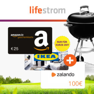 125€ Bonus für Strom-/Gas von lifestrom (monatlich kündbar!)