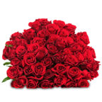 44-rote-rosen