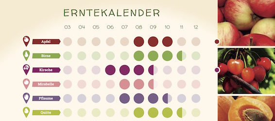 Mundraub_Erntekalender