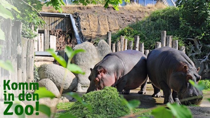 Zoologischer Garten in Karlsruhe