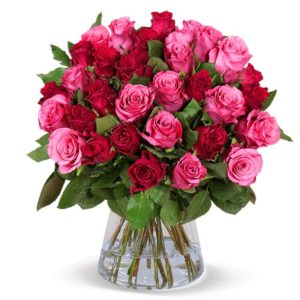 🌹 44 Romantic-Roses - rote und pinke Rosen für 26,98€ inkl. Versand