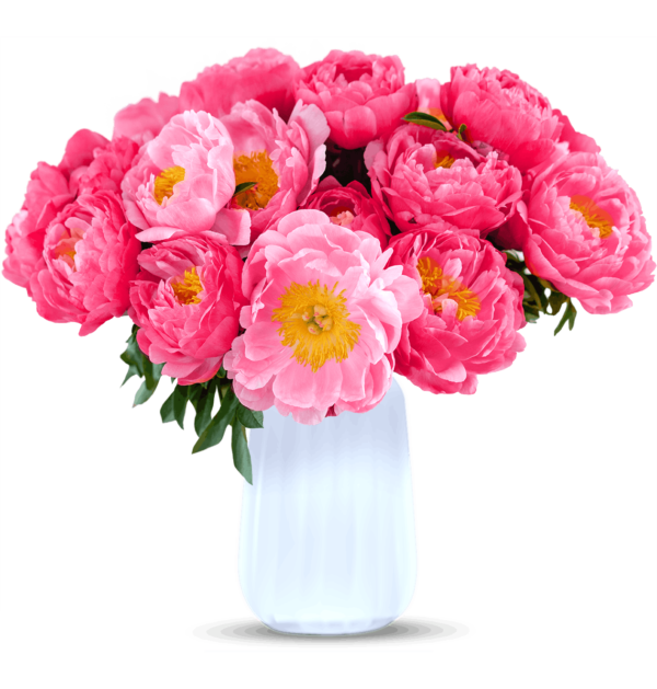 🌹 Zeigt eure Liebe mit BlumeIdeal: Strauß mit 35Rosen