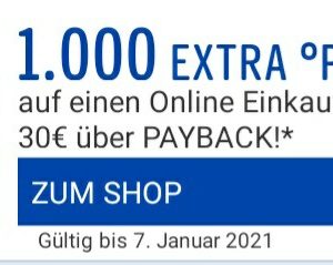 1000 Payback-Punkte (10€) bei Ebay ab 30€
