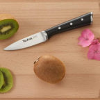 Tefal-Messer-und-Kiwi