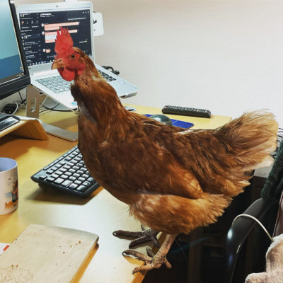 Elfriede hilft bei der Arbeit im Homeoffice