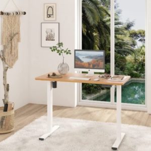 Flexispot Schreibtisch Höhenverstellbar E1 &#043; Tischplatte für 199,49€ (statt 250€ - ohne Tischplatte)