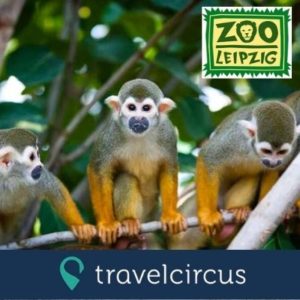 🐒 🐨 Zoo Leipzig + Übernachtung und Frühstück für 130€ für 2 Personen // 14€ für 4-köpfige Familie
