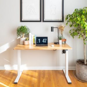 Flexispot: Elektrisch höhenverstellbares Schreibtischgestell (EP1) für 179,99€ // EG1 für 175,99€ für Prime-Kunden