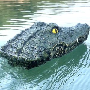 🐊 RC Krokodil Rennboot für nur 33,99€ - Gadget für den See