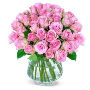 🌹Blume Ideal: 50 Pink Diamonds Rosen für 25,98€ inkl. Versand