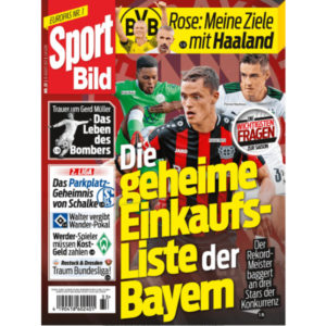 ⚽ GRATIS: 12 Ausgaben Sport Bild (statt 34€) 👉 3 Monate kostenlos!