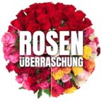 50_Rosenueberraschung