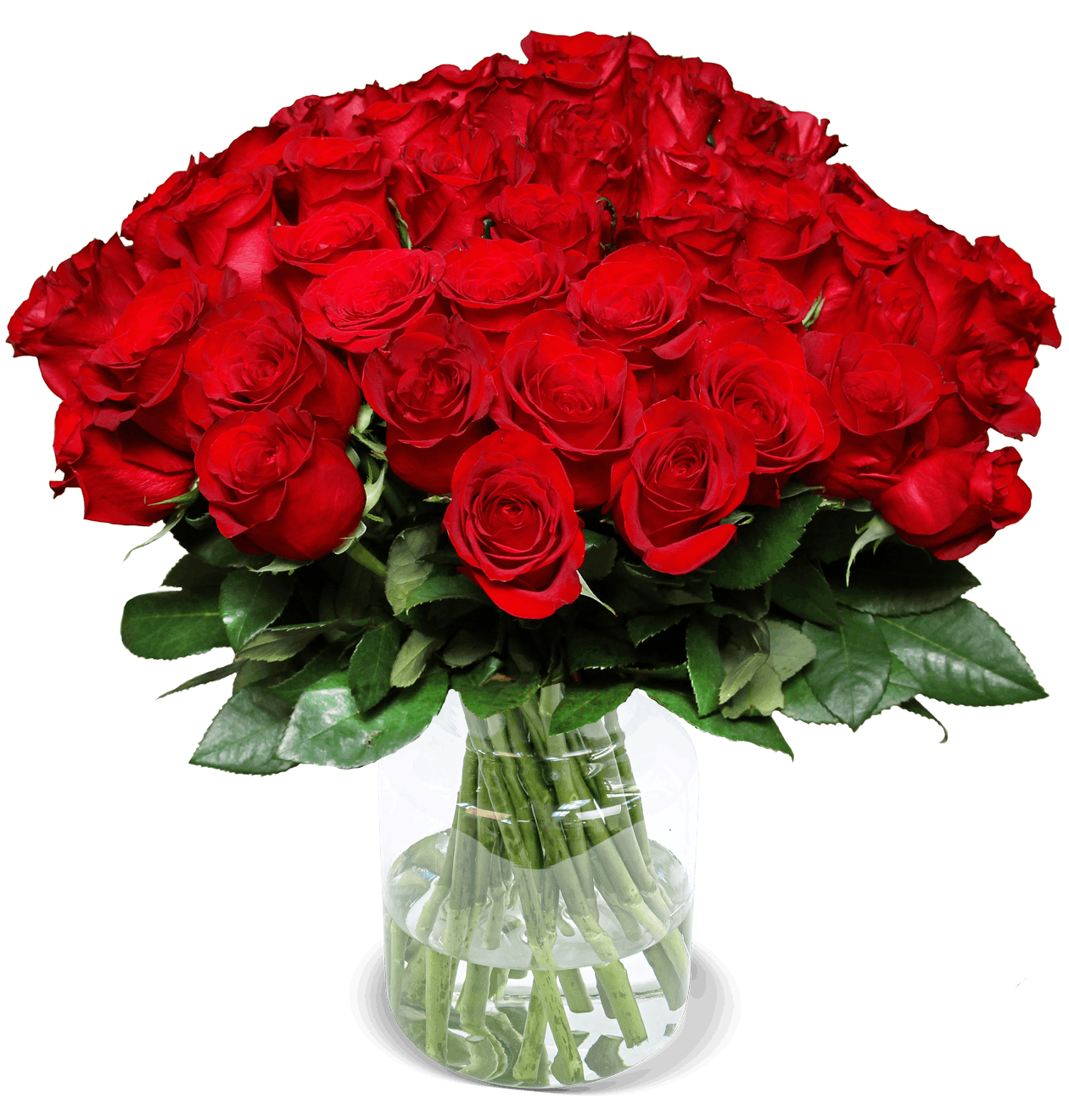 🌹 Blume Ideal: Rosenstrauß in rot oder bunt für kleines Geld