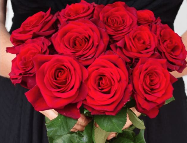 🌹 30 XXL Rosen für 21,99 zzgl. Versand (Red Naomi Rosen)