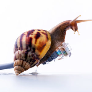 Langsames Internet Schnecke