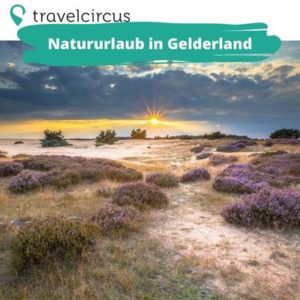 Natur in Holland 🌳 2 Nächte im Fletcher Hotel-Restaurant inkl. Frühstück für 142,20€ (statt 206€)