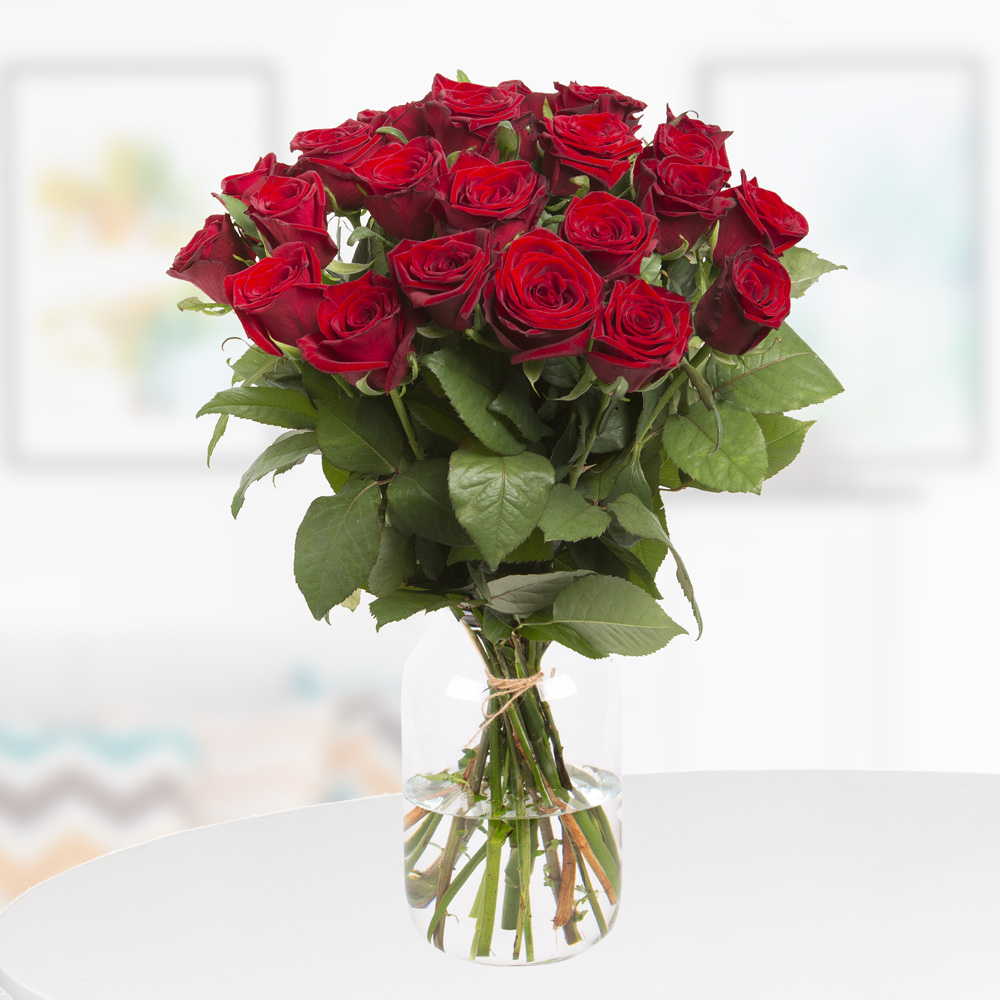 🌹 20 Premium Rosen (50 cm) Strauß für 22,90€ inkl. Versandkosten