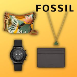 Beitragsbild_Fossil
