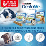 🐶 5€ Cashback für Purina DENTALIFE Hundefutter Snack