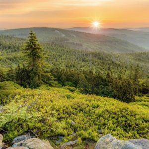 Bad Griesbach: 3 Tage Suite mit Halbpension & Spa für 370€ (statt 402€)