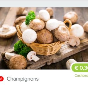 temp_f01166a7-9181-4c52-be7a-64ab0f5351ab