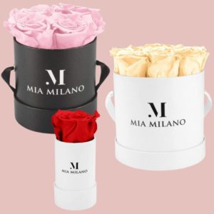 🌹 Infinity Rosenboxen von Mia Milano schon ab 11,90€