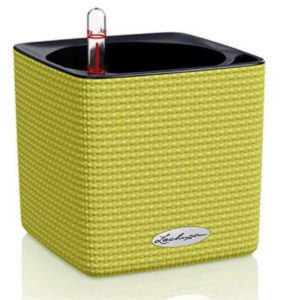 LECHUZA CUBE Kräutertopf  Limettengrün (Amazon Prime)