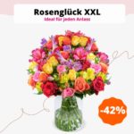 30_Stiele_Rosenglueck_XXL_mit_ueber_100_Blueten