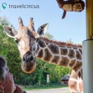 🦒 Lüneburger Heide: 2 Nächte im Hotel mit Frühstück, Dinner & Wellness ab 89€ pro Person
