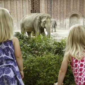 GRATIS freier Eintritt am Kindertag (01.06.22 ) im Zoo Leipzig für Kinder bis 16 Jahren -regional-