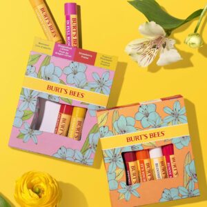 Burt's Bees Lippenbalsam im 4er-Pack-Mix für 7,79€ 🤩 Schön als Geschenk oder kleines Mitbringsel! 🎁