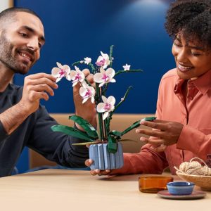 🌸 LEGO Creator Expert - Botanical Collection Orchidee für 29,40€ (statt 35€)