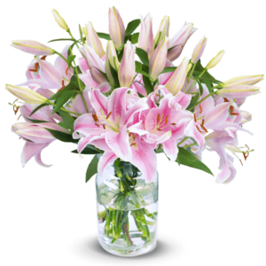 Blumeideal: Blumenstrauß mit 20 pinken Lilien für 17,99€ zzgl. Versand