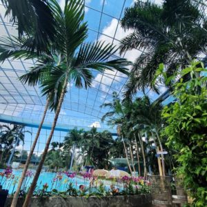 Therme Euskirchen Palmenparadies Ticket für 24,90€ statt 34€