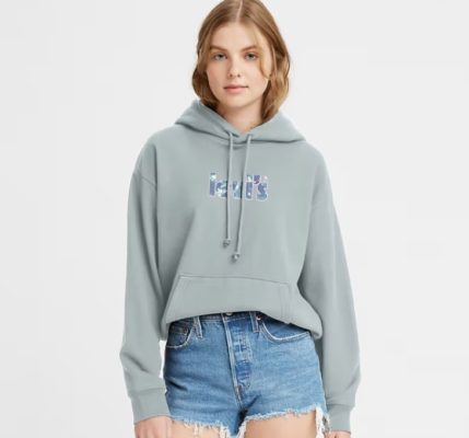 Levis Hoodie grau