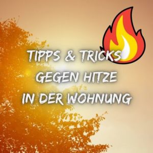 Hitze_in_der_Wohnung