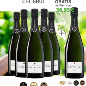 5 Champagner Castelnau Brut + 1 Champagner Brut Rosé GRATIS