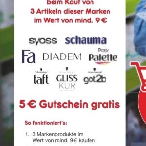 VORANKÜNDIGUNG ! 5 Euro Gutschein im Netto ( gelb ! ) bekommen, beim Kauf von 3 Produkten der aufgeführten Marken im Wert von mindestens 9 Euro