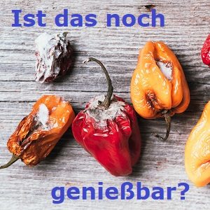 Moldy and wrinkled rotten peppers. Concept of unhealthy, decompose, spoiled vegetables. Garbage dump rotten food on wooden background. Top view. Copy space. Waste concept