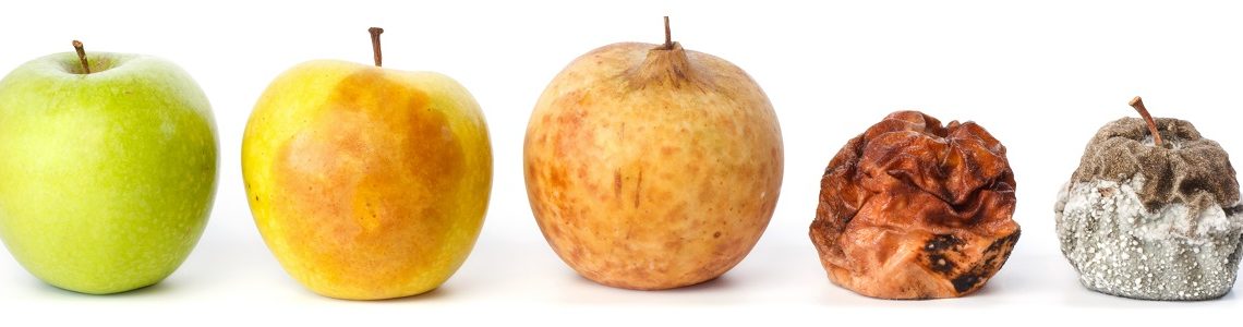 Five apples in various states of decay