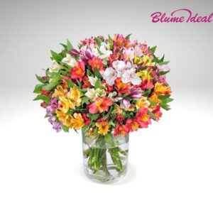 💐 33 Inkalilien mit bis zu 200 Blüten für 32,48€ inkl. Versand