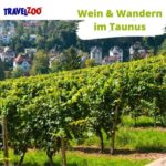 Wein & Wandern im Taunus: Nacht im Residence-Zimmer inkl. Frühstück ab 89€ für 2-4 Personen